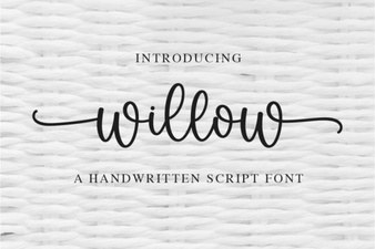 Willow Font: Elegance for Design Projects
